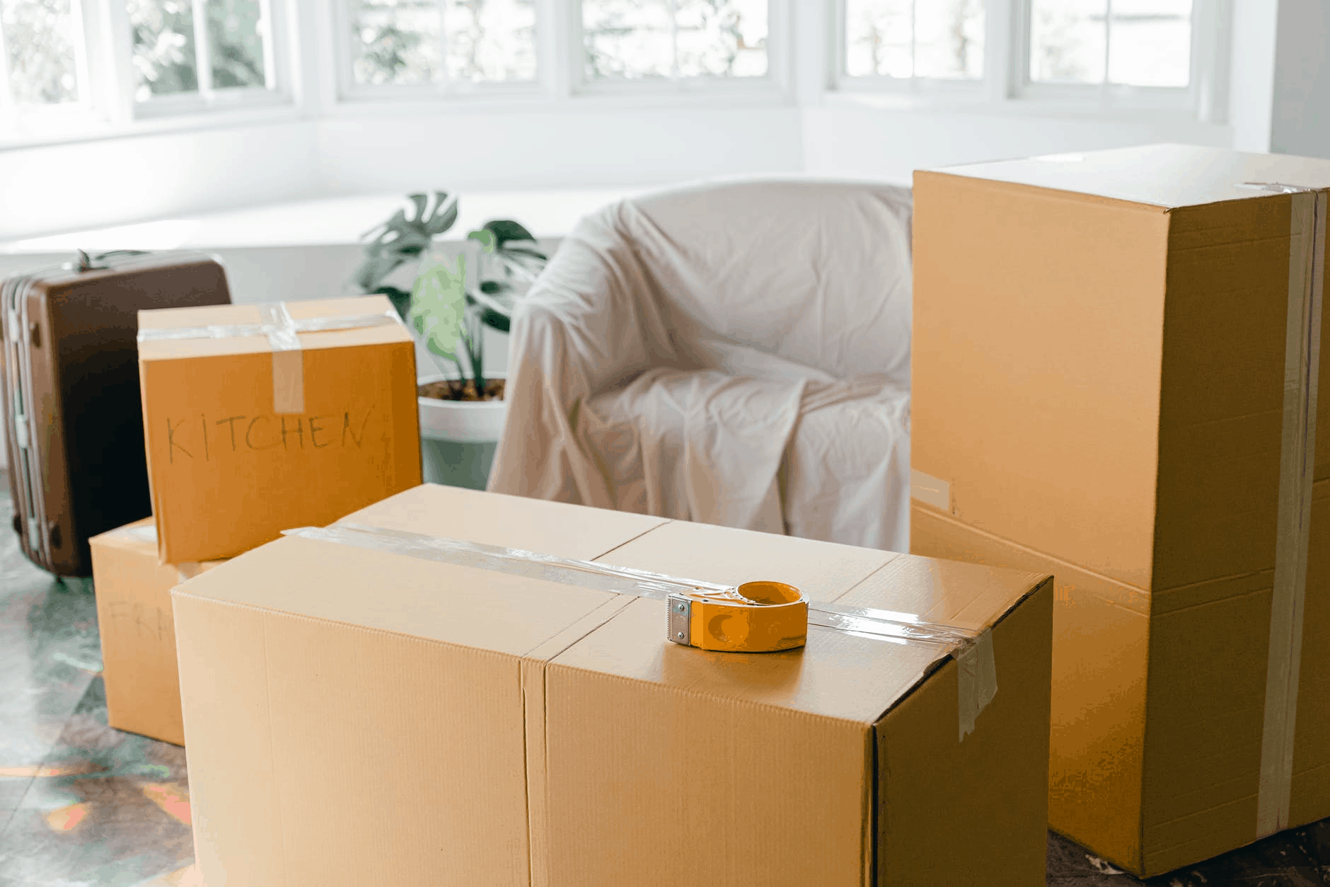 How to File Moving Company Complaints in Florida Lopez Law