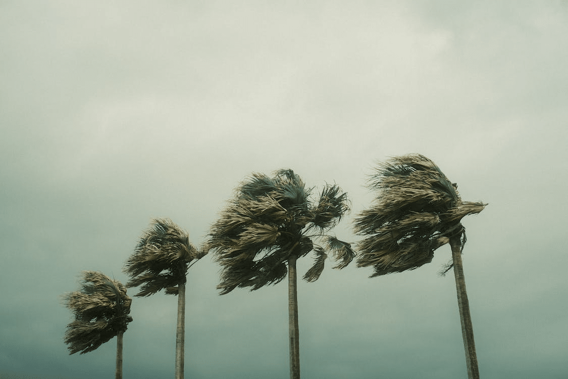 Hurricane Damage Claims In Florida