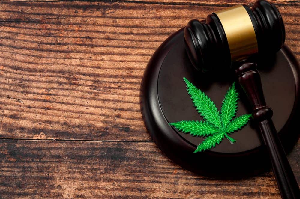 drug concept theme with a marijuana leaf and a wooden gavel isolated on wood background with copy space